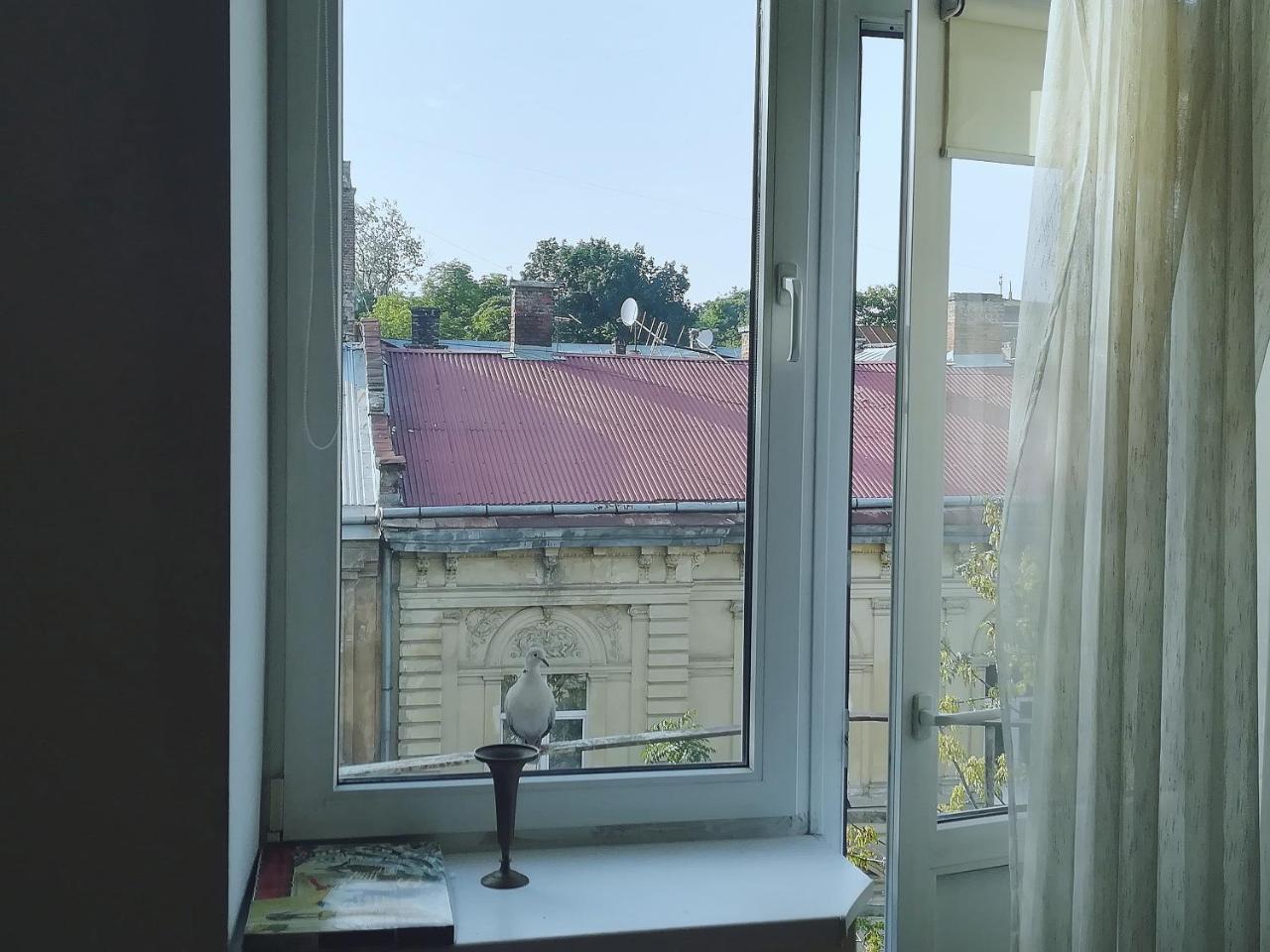 Valentine Apartment 利沃夫 外观 照片